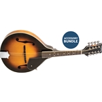 Washburn A-Style Mandolin Kit