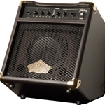 Washburn WA-20 Acoustic Amp