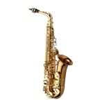 Yanagisawa AWO2 Bronze Alto Sax