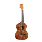 Kala Voyage Collection Guidance - Tenor Uke w/Bag