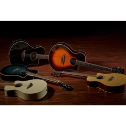 Yamaha APX600 Thinline Acoustic Electric