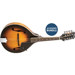 Washburn A-Style Mandolin Kit