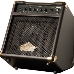 Washburn WA-20 Acoustic Amp