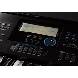 Robert's Musical Instruments - Casio WK6600 76-Key Workstation