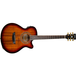 Washburn Festival Mini Jumbo Koa Top A/E Guitar